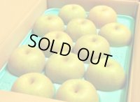 幸水-ピカイチ-大玉５kg（１１・１２玉）