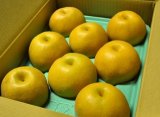 画像: 豊水-ピカイチ-３kg（７〜９玉）