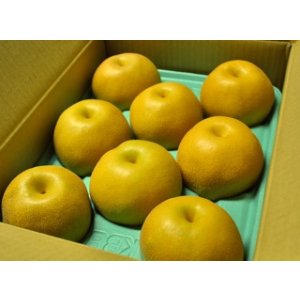 画像: 豊水-ピカイチ-３kg（７〜９玉）