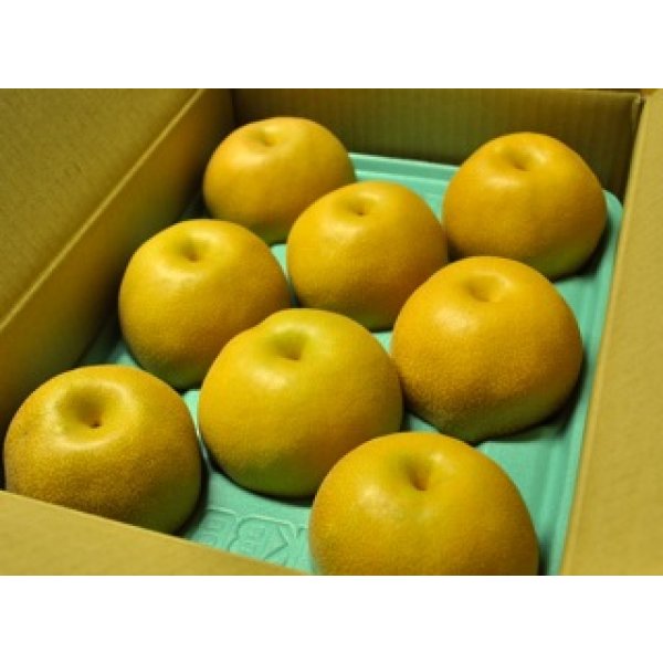 画像1: 豊水-ピカイチ-３kg（７〜９玉） (1)