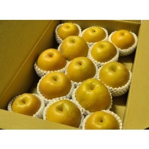 画像: 豊水-味よし-中玉１０kg（２６・２８玉）
