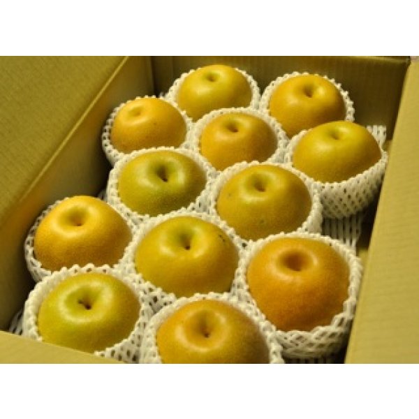 画像1: 豊水-味よし-大玉１０kg（２２・２４玉） (1)