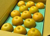 画像: 豊水-ピカイチ-中玉１０kg（２６・２８玉）
