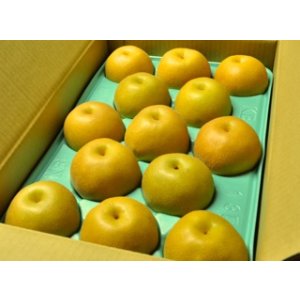 画像: 豊水-ピカイチ-中玉１０kg（２６・２８玉）