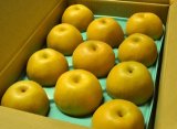 画像: 豊水-ピカイチ-大玉１０kg（２２・２４玉）