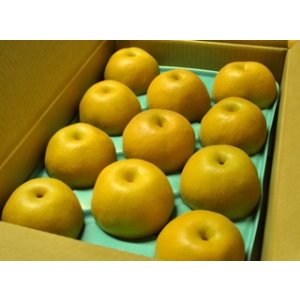 画像: 豊水-ピカイチ-大玉１０kg（２２・２４玉）