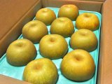 画像: 幸水-味よし-特大玉５kg（１０玉）