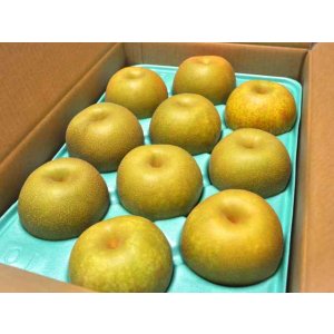 画像: 幸水-味よし-特大玉５kg（１０玉）