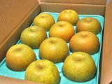 画像: 幸水-ピカイチ-特大玉５kg（１０玉）