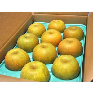 画像: 幸水-ピカイチ-特大玉５kg（１０玉）