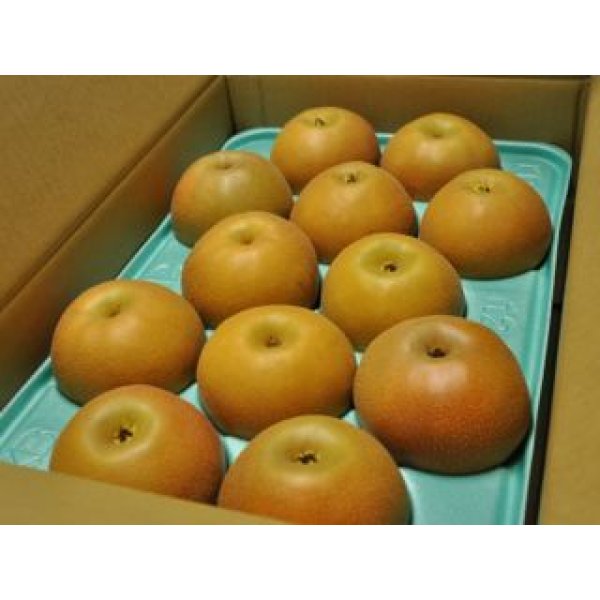 画像1: 南水　ピカイチ-大玉５kg（１２・１３玉） (1)
