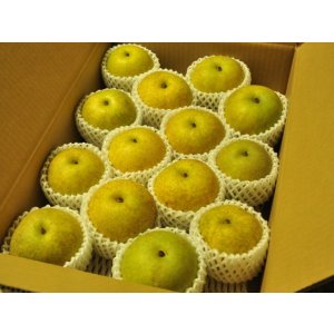 画像: サンセーキ 味よし-中玉１０kg（２８・３２玉）