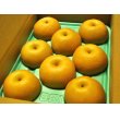 画像1: 南水　ピカイチ-３kg（７〜９玉） (1)