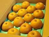 画像: 南水　ピカイチ-中玉５kg（１４・１６玉）