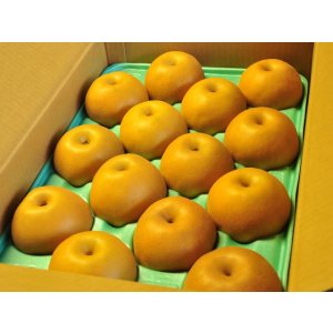 画像: 南水　ピカイチ-中玉５kg（１４・１６玉）