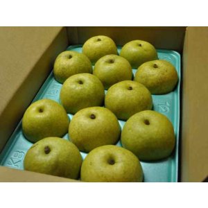 画像: サンセーキ 味よし-大玉５kg（１２・１３玉）