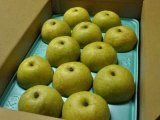 画像: サンセーキ 味よし-大玉１０kg（２４・２６玉）