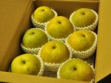 画像: サンセーキ 味よし-３kg（７〜９玉）