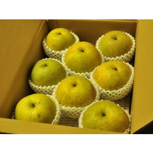 画像: サンセーキ 味よし-３kg（７〜９玉）