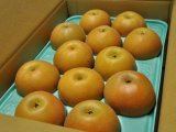 画像: 南水　ピカイチ-大玉１０kg（２４・２６玉）