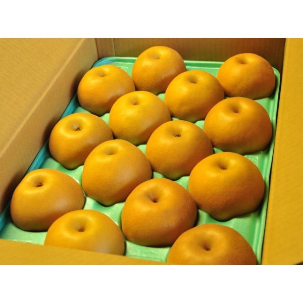 画像1: 南水　ピカイチ-中玉１０kg（２８・３２玉） (1)