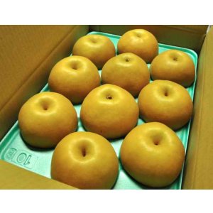画像: 豊水-ピカイチ-特大玉５kg（１０玉）