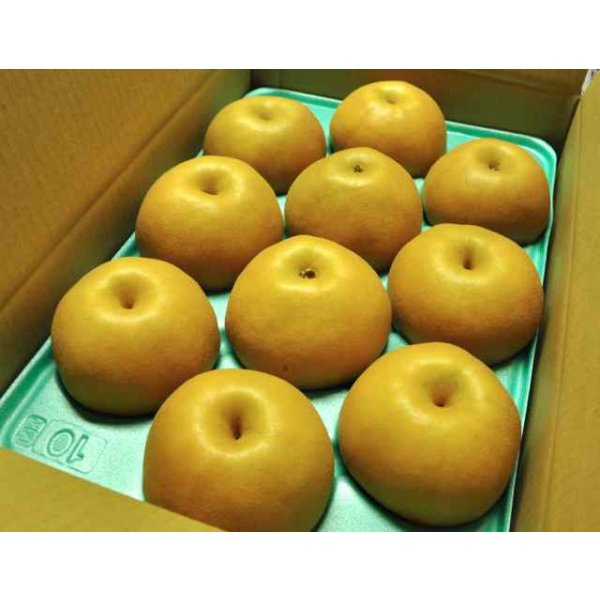 画像1: 豊水-ピカイチ-特大玉５kg（１０玉） (1)