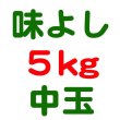 画像3: サンふじ－味よし－５kg－中玉（１６・１８玉） (3)