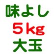 画像3: サンふじ－味よし－５kg－大玉（１３・１４玉） (3)